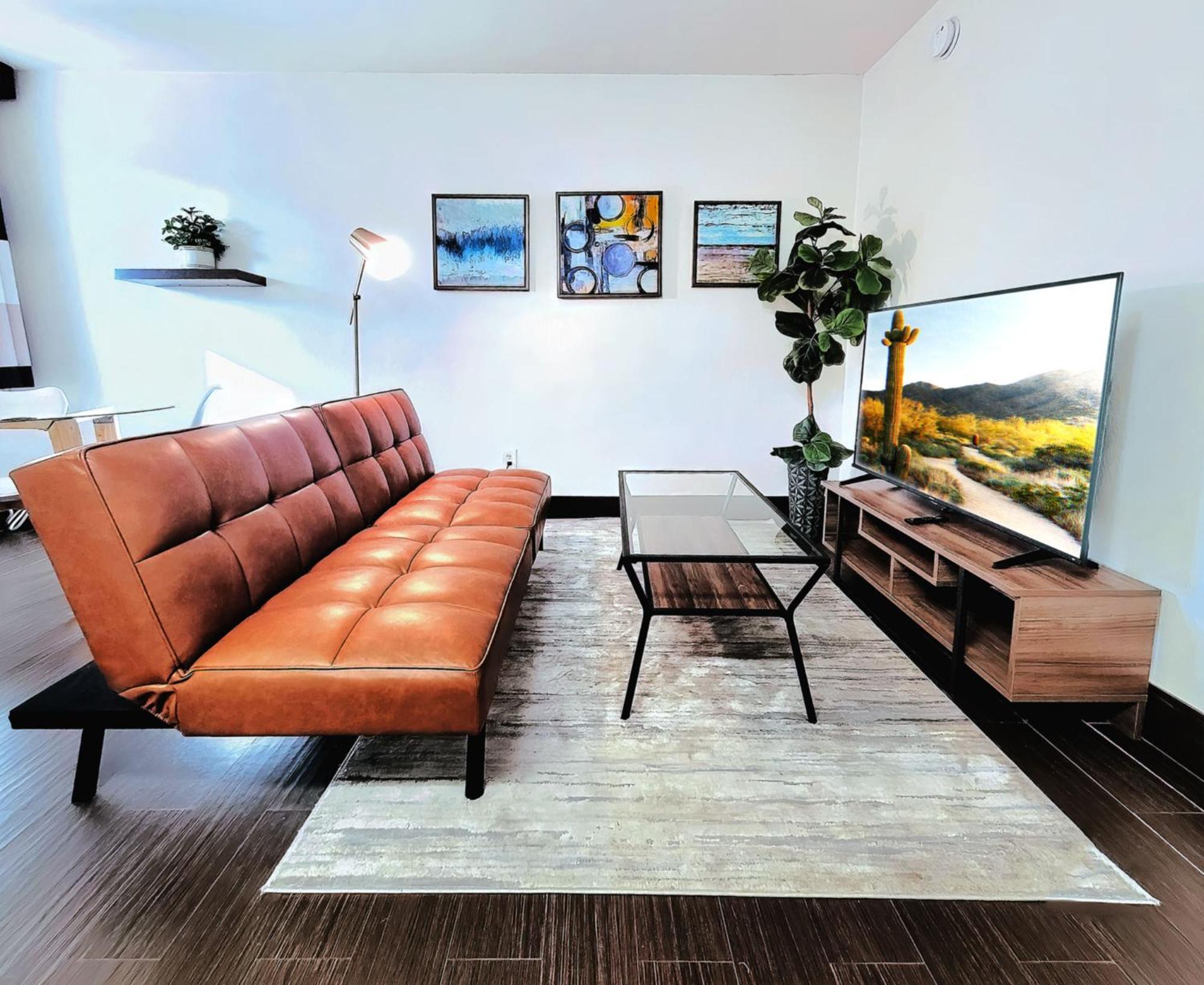 Apartment Oasis